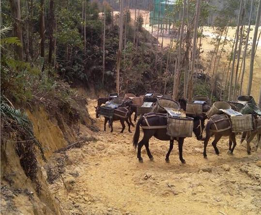 馬幫山路運(yùn)輸