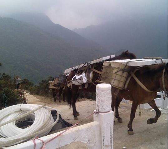 山區(qū)馬幫運輸