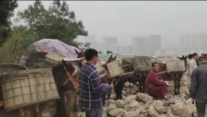 騾馬山區(qū)運(yùn)輸